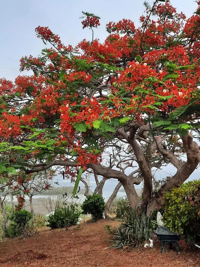 Villa Le Flamboyant Le Marin